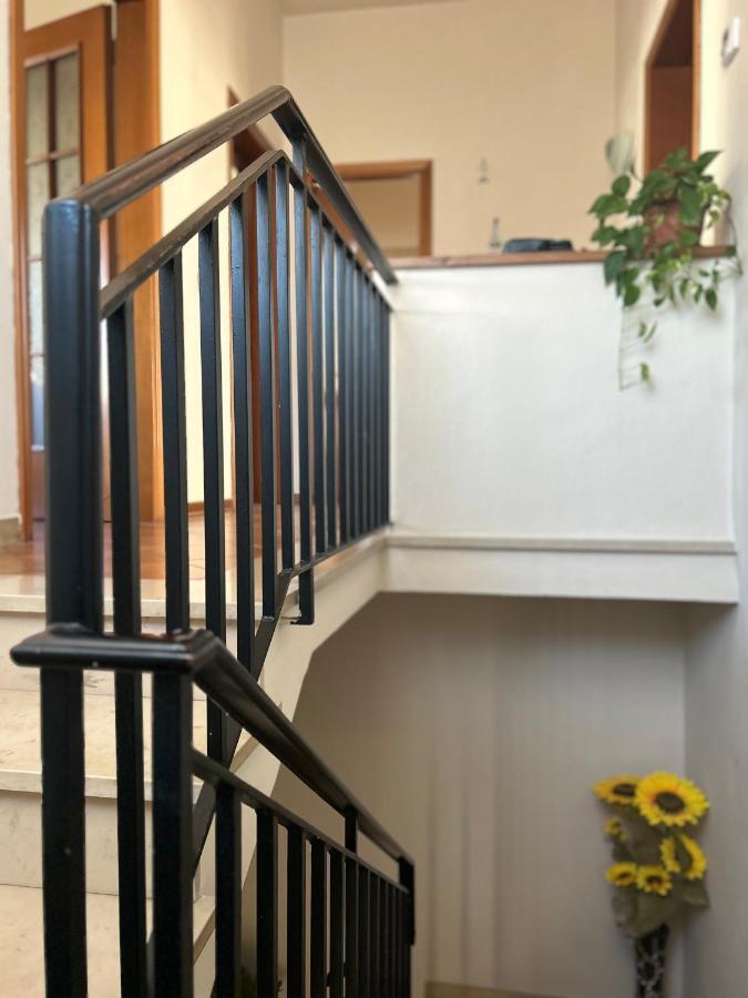 דירות לוקה Albi'S House,Terrazza ,Wi-Fi, Parcheggio, Ac מראה חיצוני תמונה