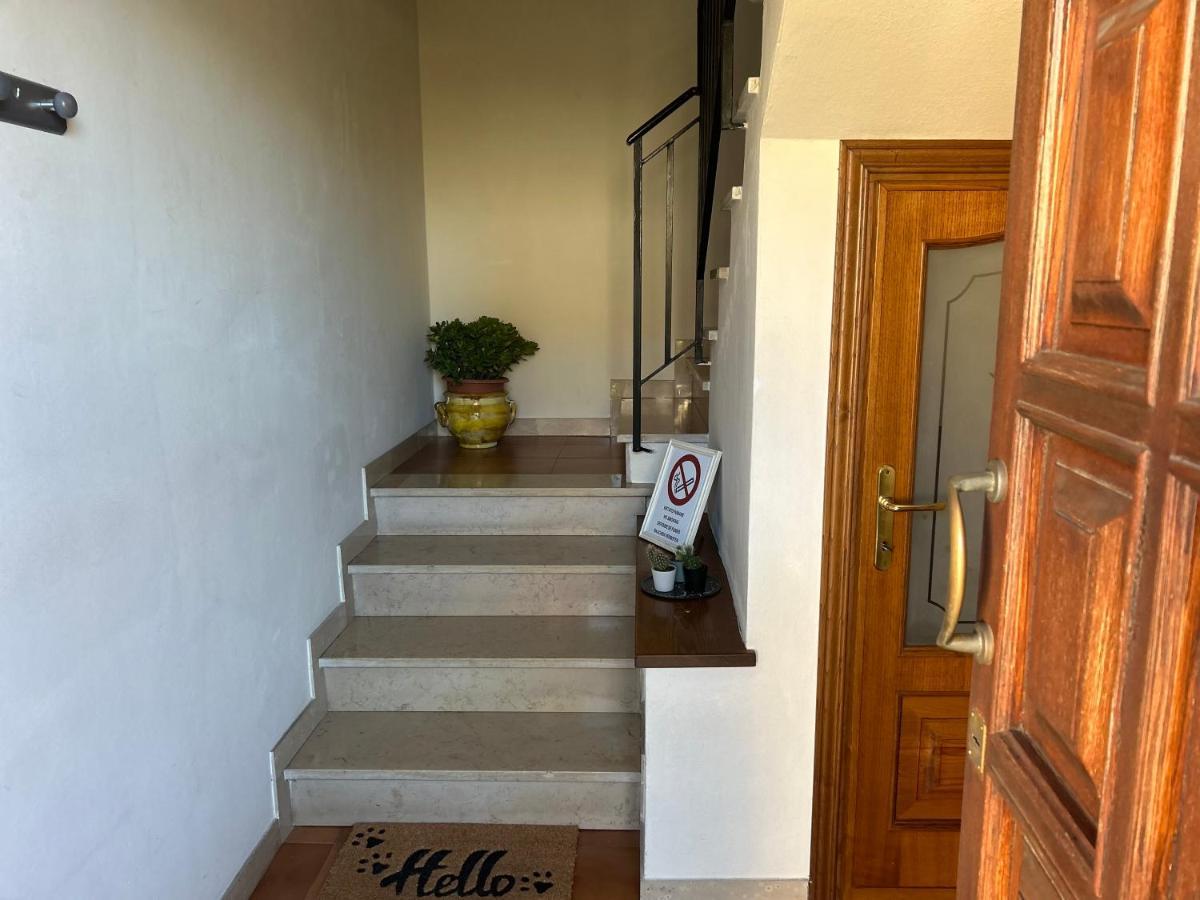 דירות לוקה Albi'S House,Terrazza ,Wi-Fi, Parcheggio, Ac מראה חיצוני תמונה